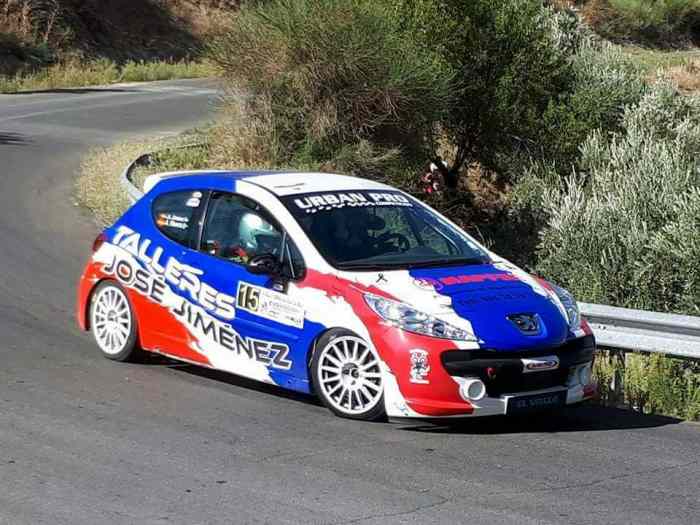 Peugeot 207 carrocería r3t 2