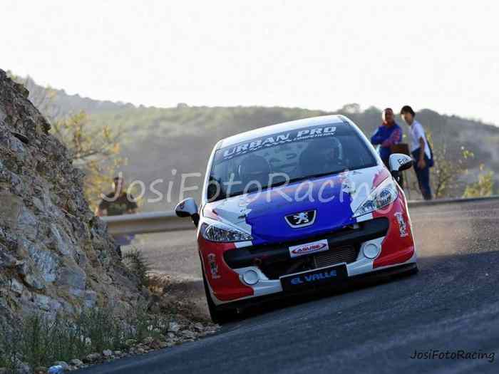 Peugeot 207 carrocería r3t 3