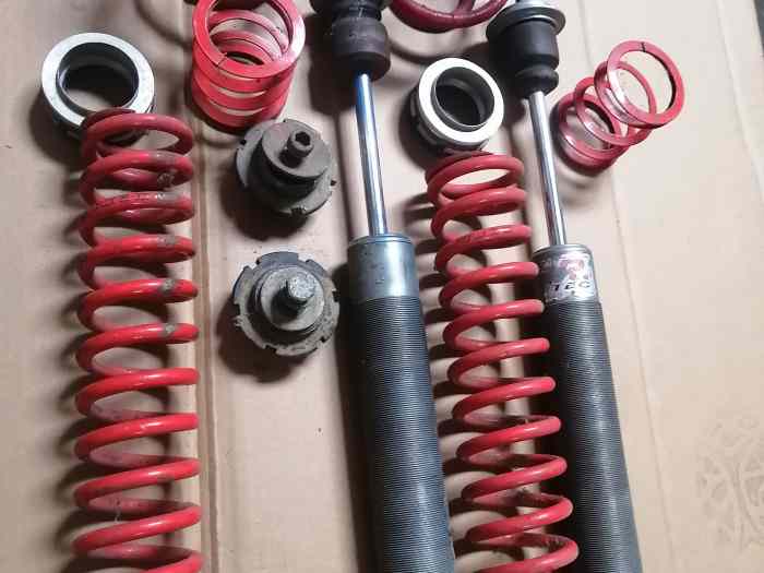 Kit suspensions proflex clio 2 2