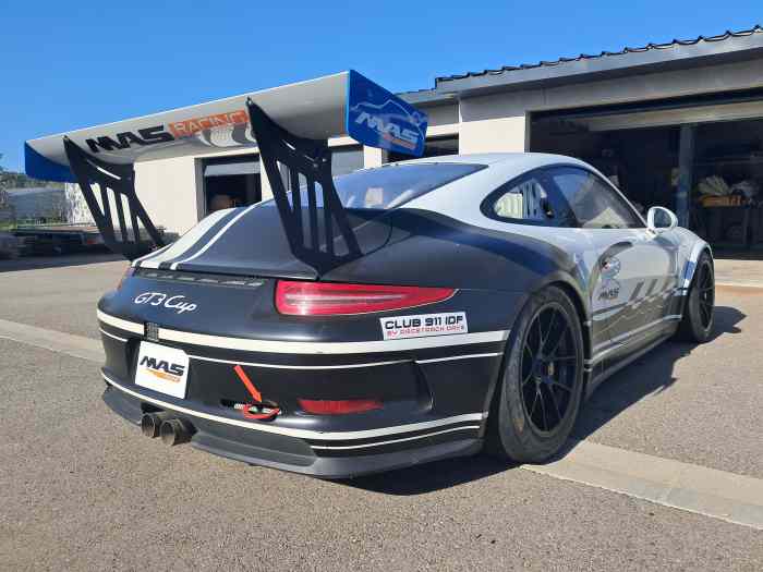 Porsche 991 GT3 Cup 2015 1