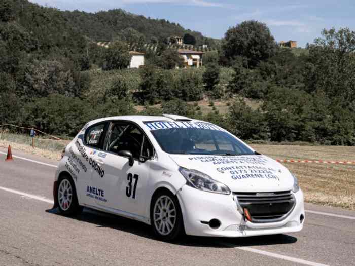 Peugeot 208 R2B 2