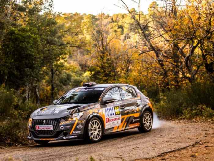 Peugeot 208 RALLY 4