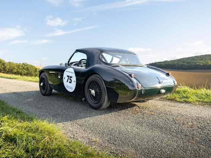 Austin Healey 100 BN2 FIA - PTH valide jusqu