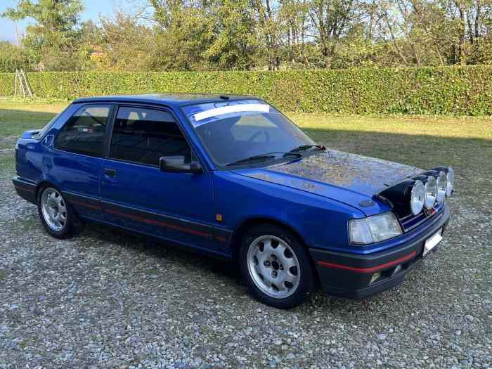 Peugeot 309 GTI 16 V GR N 1