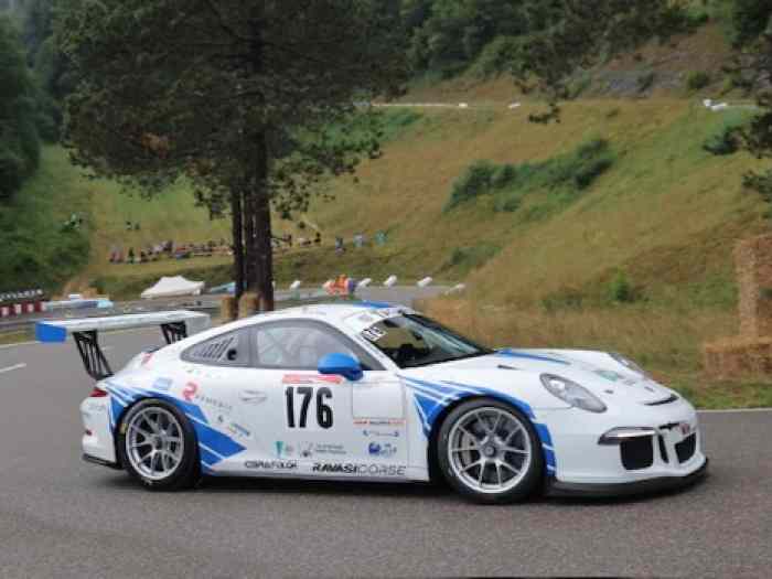 Porsche 991.1 GT3 Cup 2