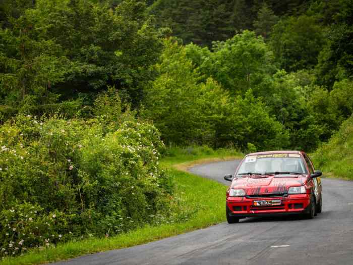 Clio williams Groupe A 5