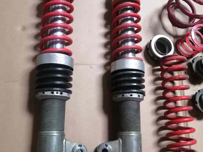 Kit suspensions proflex clio 2 1