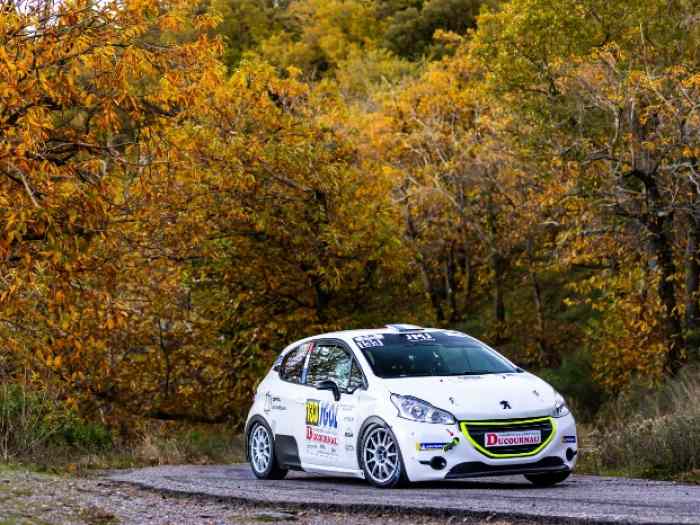 Vends Peugeot 208 R2 neuve