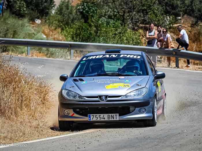 Peugeot 206 tipo desafío