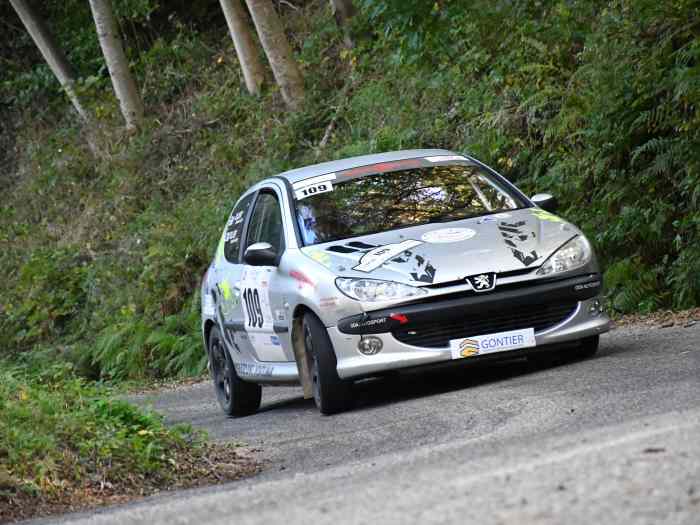 Peugeot 206 N2S N2 série 1