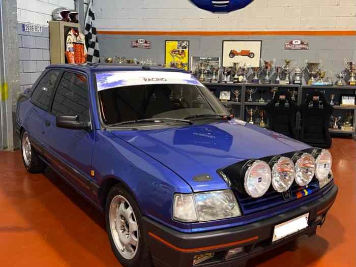 Peugeot 309 GTI 16 V GR N