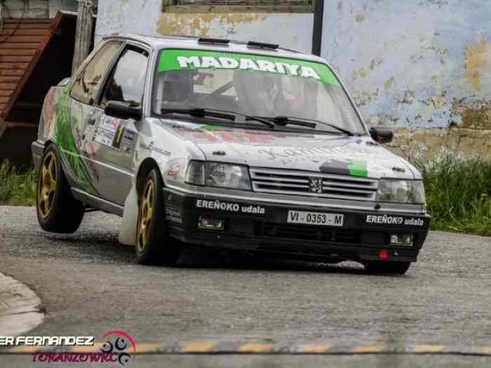 Peugeot 309 GTI 16v GrA EVO 1