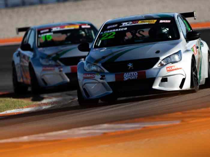 Peugeot 308 Racing TCR CUP 3