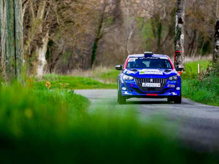 Peugeot 208 Rally4 asphalte + kit terre 4