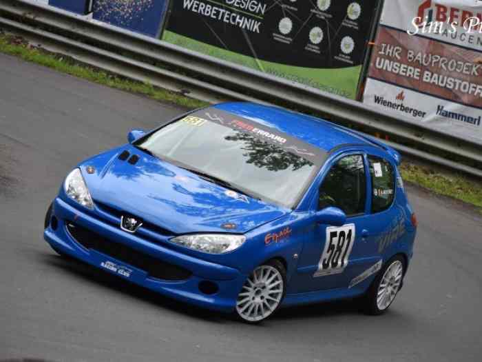 Peugeot 206 course de côte 4