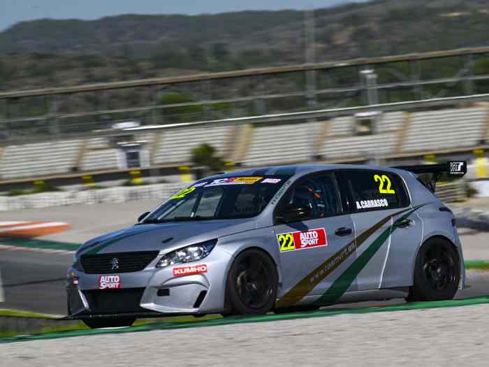 Peugeot 308 Racing TCR CUP 1