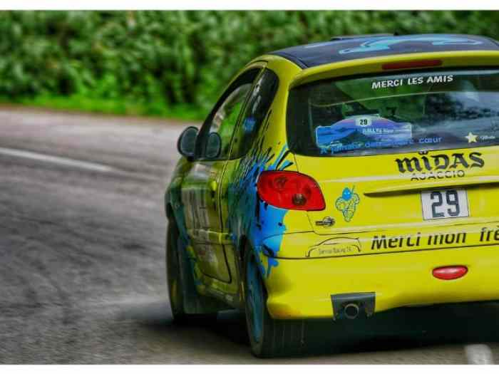 Peugeot 206 de la coupe 2