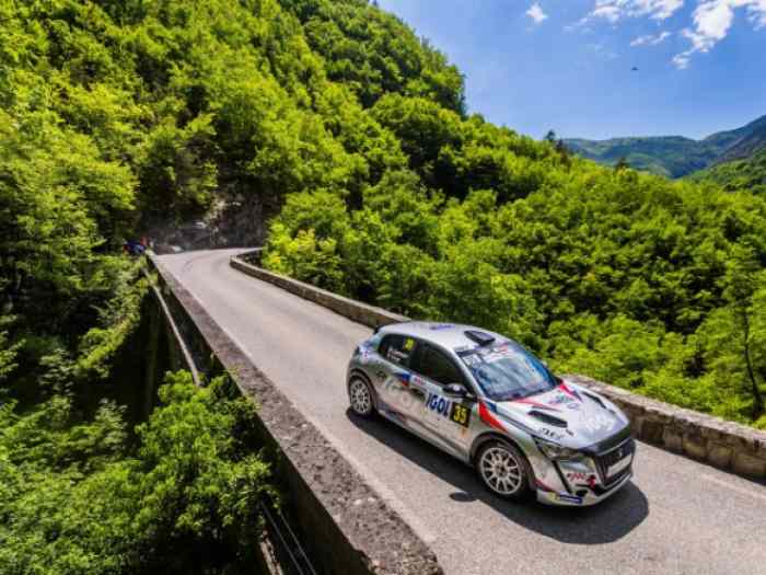 Peugeot 208 Rally4 Ex Usine