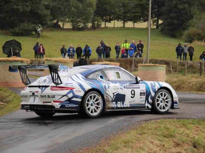 VDS PORSCHE 991 GT+ 3.8 l 1