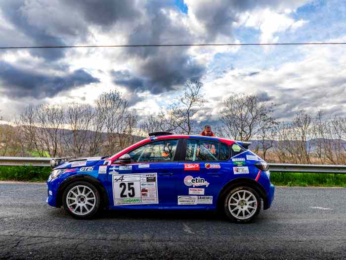 Peugeot 208 Rally4 asphalte + kit terre 2