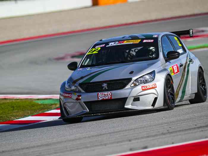 Peugeot 308 Racing TCR CUP