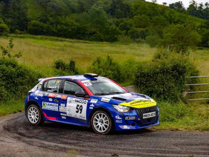 Peugeot 208 Rally4 asphalte + kit terre 3