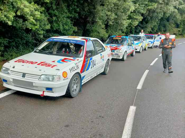 Rare Peugeot 405 Mi 16.