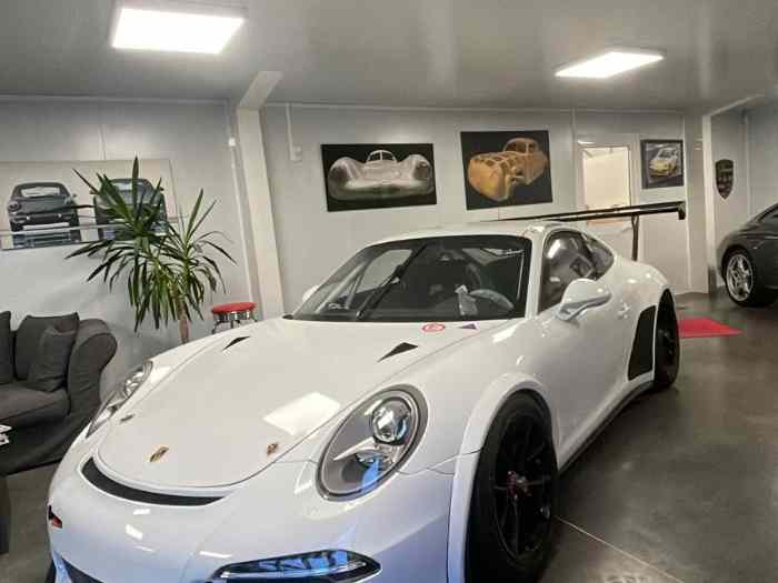 Porsche 991 GT3 CUP 3.8 2014 1