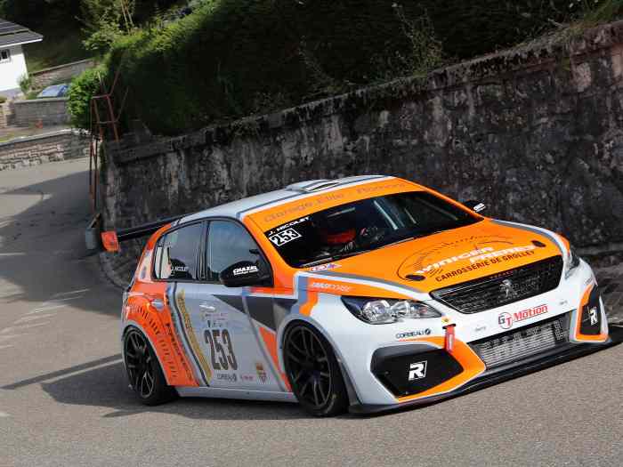 Peugeot 308 Racing Cup 2