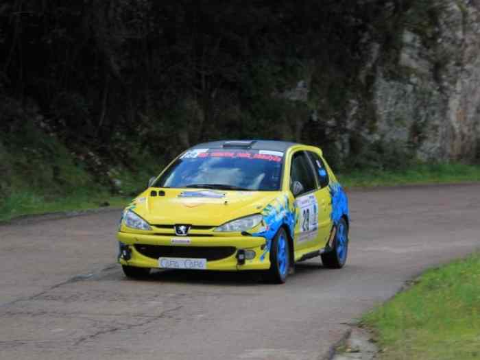 Peugeot 206 de la coupe 1