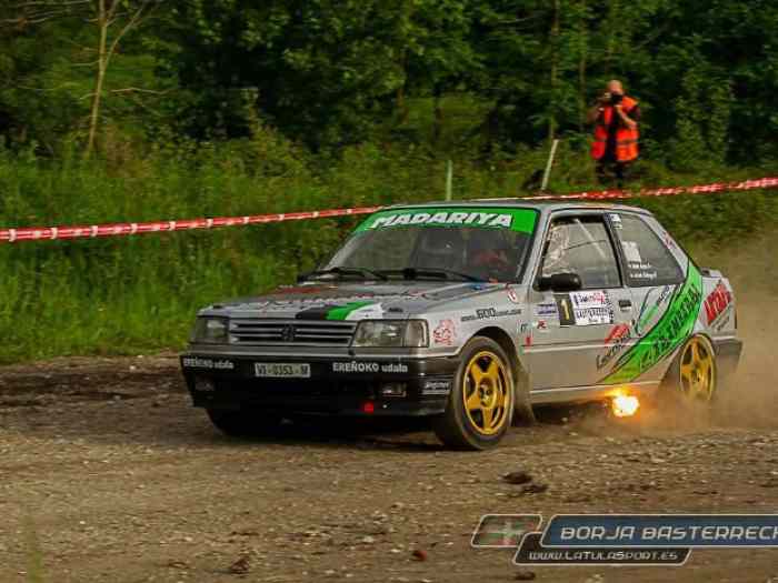 Peugeot 309 GTI 16v GrA EVO