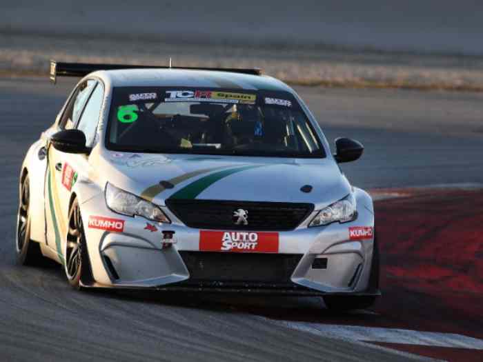 Peugeot 308 Racing TCR CUP 5