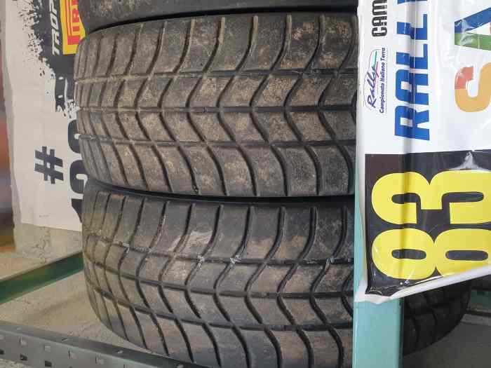 Pirelli RW1C et RA7+