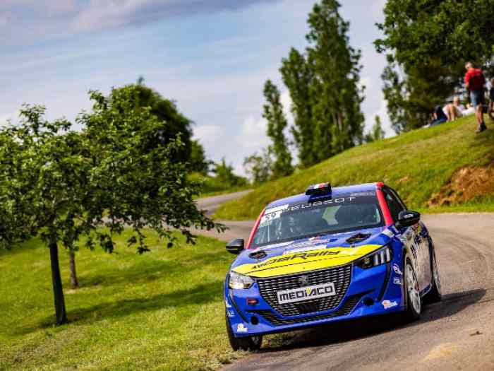 Peugeot 208 Rally4 asphalte + kit terr...