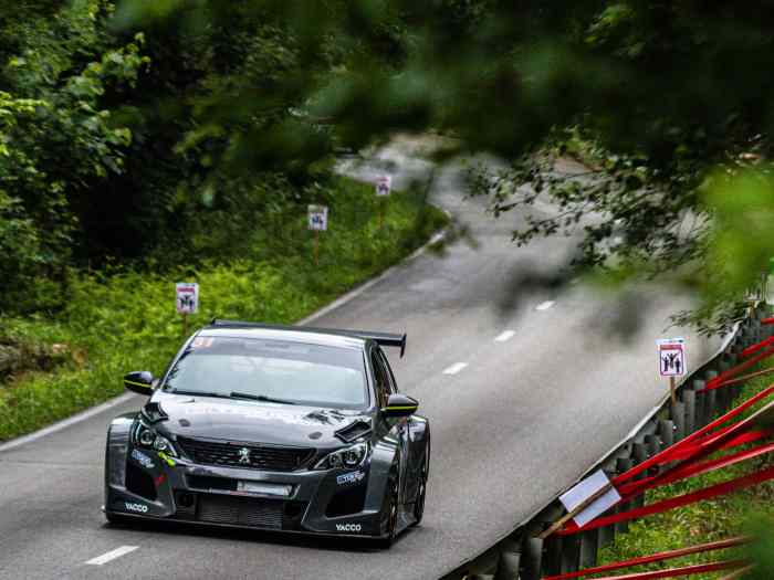 Peugeot 308 TCR - European hillclimb championship winning car 2