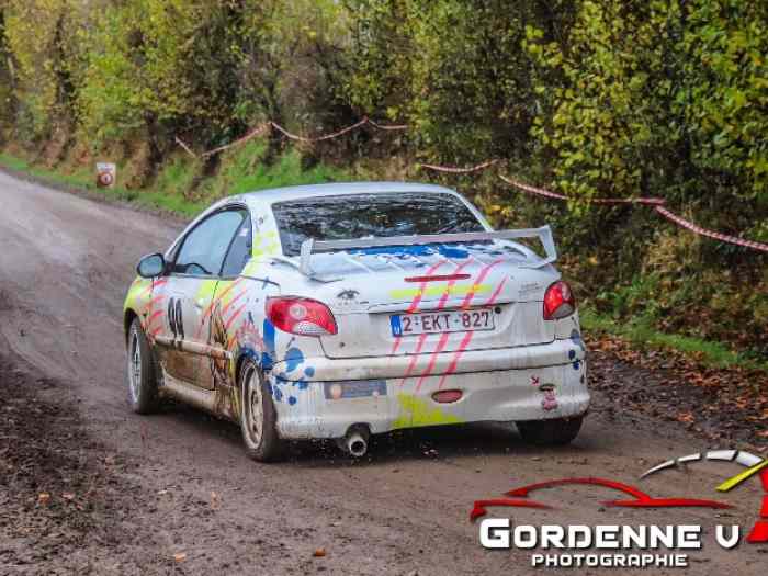 PEUGEOT 206 RCC - Arceau MATTER 1