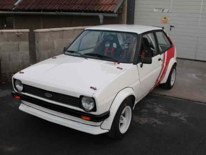 Damaged Ford Fiesta MK1 Gr.2 FIA HTP 2