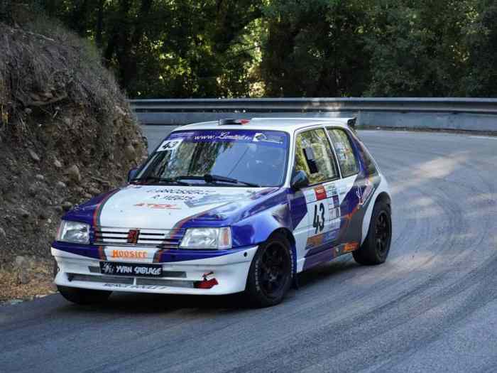 Peugeot 205 F2000/14