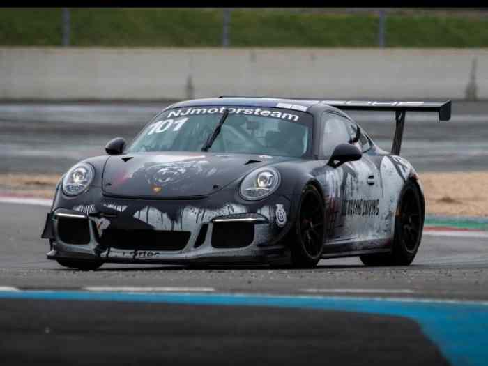 Porsche 991.1 gt3 cup