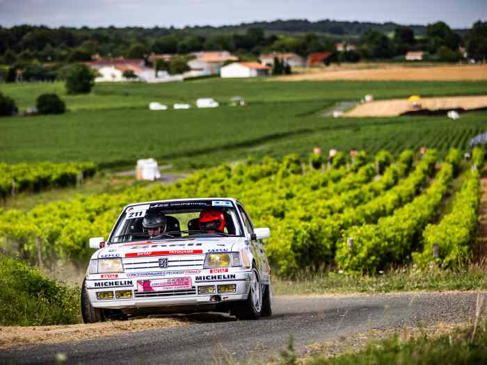 Peugeot 309 Gr. A 2