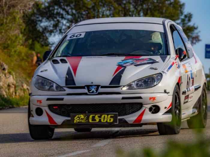 Peugeot 206 RC Groupe A 7 1