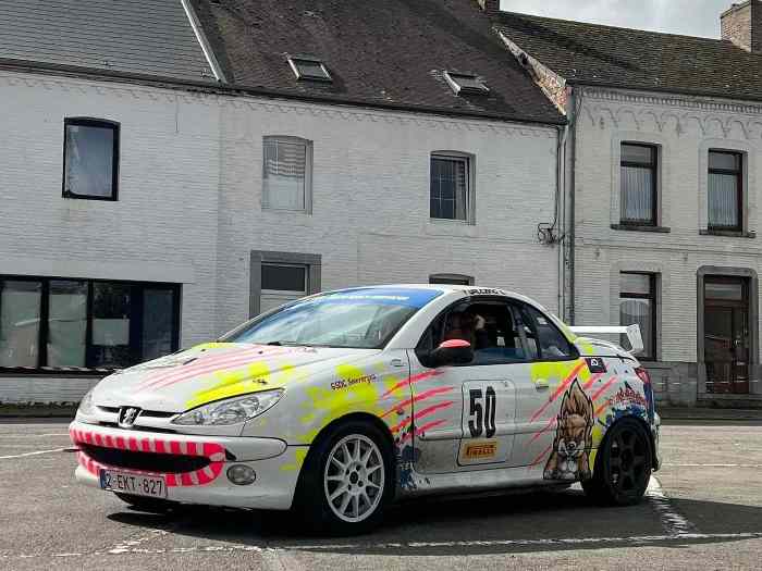 PEUGEOT 206 RCC - Arceau MATTER 4