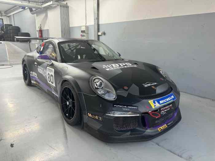 Porsche 991.1 CUP