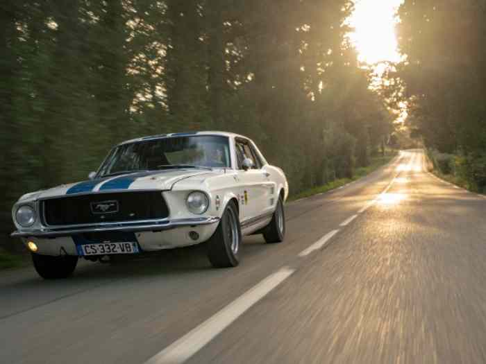 FORD MUSTANG 1967 GT390 PREPAREE VHC