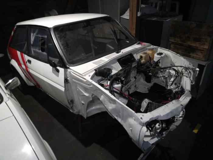 Damaged Ford Fiesta MK1 Gr.2 FIA HTP 1