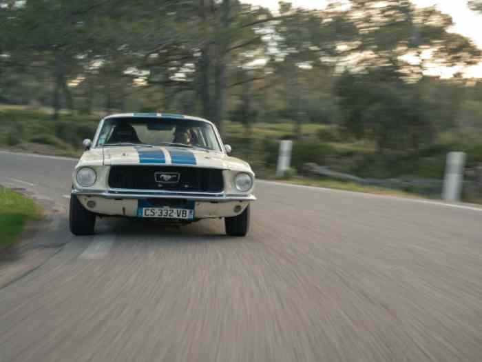 FORD MUSTANG 1967 GT390 PREPAREE VHC 4