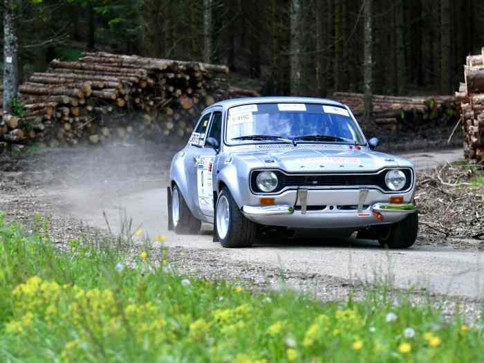 VDS ESCORT RS1600 MK1 1972 4