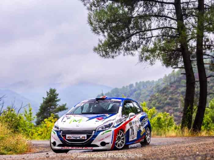 Vente Peugeot 208 R2