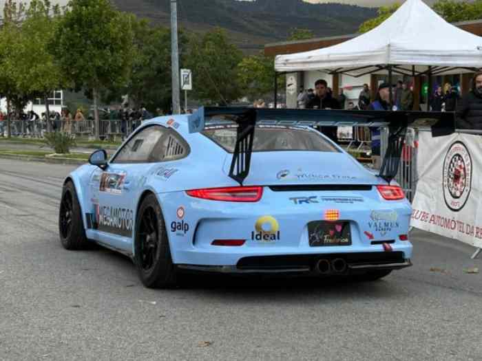 Porsche 911 GT3CUP 0