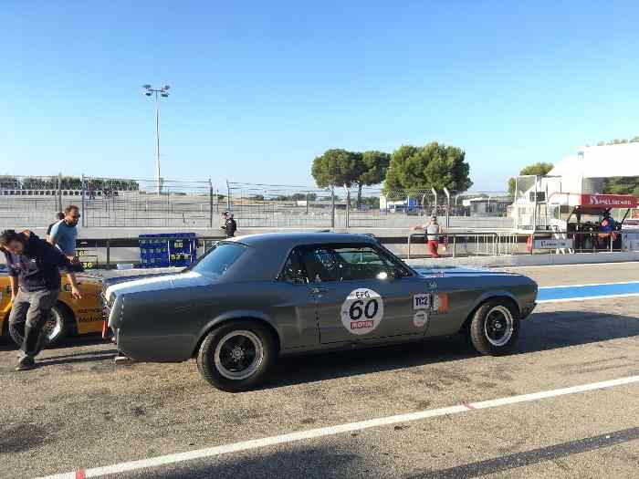 FORD MUSTANG 68 GROUPE 2 FIA 1